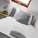 Spacious Townhouse With Accessibility Adapted Garden Apartment, Off Road Parking, Near Home Park, Jaccuzi Bath, Office Space, Sleeps 15